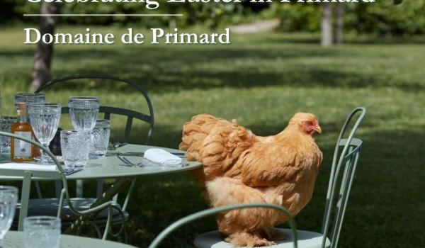 instagram 17986735784480465