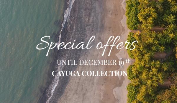 instagram 18045127184659588