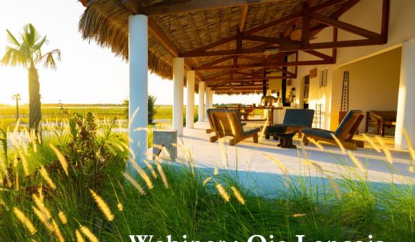 instagram 18096362695389724