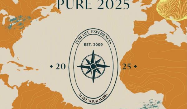 instagram 18353693191089000