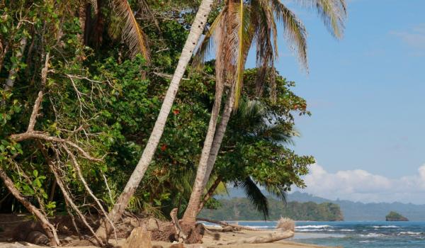 instagram 18486206101066622